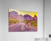 DESERT WIDERNESS Acrylic Print