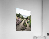   The Scottish Highlands Trail Before Us                                                                                                                    Acrylic Print