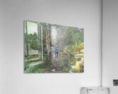 Scottish Hiker in a Birch Forest                                                                                                                      Acrylic Print