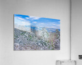 SOUTHERN WINTER  Acrylic Print