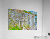 ICE SCULPTURES  Acrylic Print