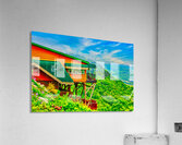 OZARK CLIFF HOUSE  Acrylic Print