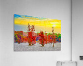 RIVER TREES   Acrylic Print