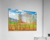 COUNTRY FARM TREES  Acrylic Print