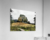 Scottish Highlands Path to Hilltop Trees                                                                                                                       Acrylic Print
