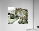 Scottish Highlands Serene Forest Pathway                                                                                                                       Acrylic Print