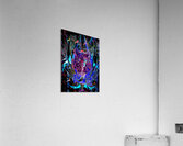 005 - The Signal: Second Evolution Acrylic Print