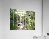 Scottish Highlands Path through the Birch Forest                                                                                                                      Acrylic Print