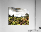 Scottish Highlands Dramatic  Sky Landscape                                                                                                     Acrylic Print