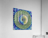 ArtXcl 1000 Mandala Acrylic Print