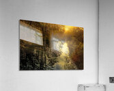 Francis Marion National Forest  at Dusk Acrylic Print