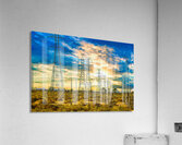 MOJAVE DESERT  Acrylic Print