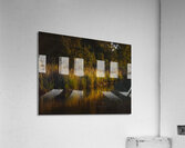 National Forest in Autumn Acrylic Print