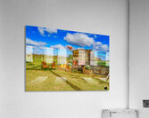 Detente a la Ferme Hubert-Sauve Acrylic Print