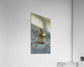 Bobby a laise Acrylic Print