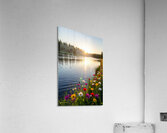 ​Golden Hour on the River Acrylic Print