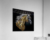 1757871504163 Acrylic Print