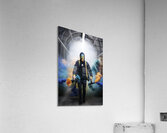 DSC08905 Acrylic Print