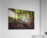 Enchanted Forest Scene Acrylic Print