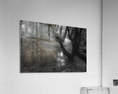 Quiet Forest Reflections Acrylic Print