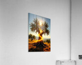 Enchanted Tree at Sunset Acrylic Print