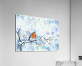 Robin in a winter landscape Acrylic Print