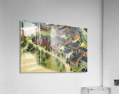 1940s University of Cincinnati Campus Art Acrylic Print