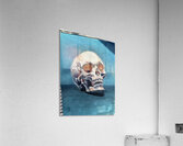 Skull on blue Acrylic Print