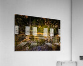 Serene Virginia Forest Swamp at Dusk Acrylic Print