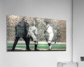 1924 Washington Senators At Bat Acrylic Print