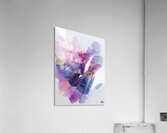 Seraphims Embrace - for Exhibition Acrylic Print