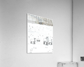 My Sheep Hear My Voice Acrylic Print