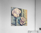 Arte 048 White roses Abstract Painting Acrylic Print