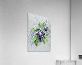 Arte 029 grapes illustration Acrylic Print