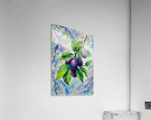 Arte 030 grapes illustration Acrylic Print