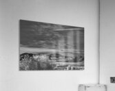 Wishing Acrylic Print