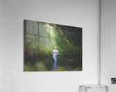 DSC 1235 Acrylic Print