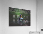 DSC 1106 Acrylic Print