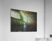 DSC 1187 Acrylic Print