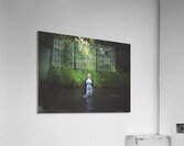 DSC 1170 Acrylic Print