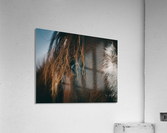 Macro Horse Eye Hi Res   A3 Acrylic Print