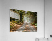 wall art Acrylic Print