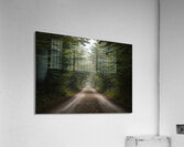 wall art Acrylic Print