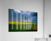 Rainbow Over Canola Hi Res   A3 Acrylic Print