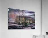 Life Finds a Way Hi Res   A3 Acrylic Print