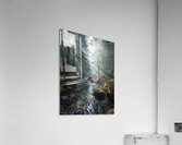Peaceful Forest Stream – Crystal Clear River Flowing Through a Lush Green Woodland Acrylic Print