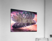 Polysymmetry Acrylic Print