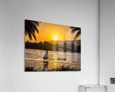 IMG 20251009 154638 972 Acrylic Print