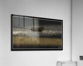 Catepillar Crossing Acrylic Print