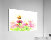 Butterfly and pink Zinnias watercolor painting Acrylic Print